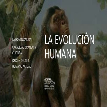 Evolución humana