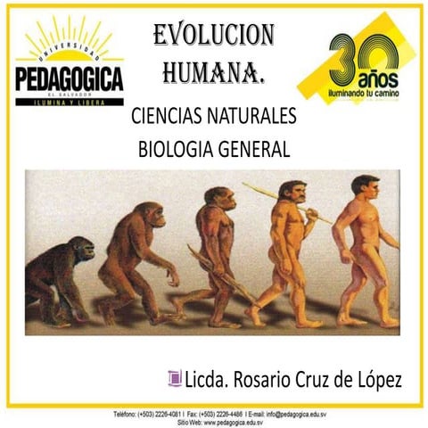 Evolucion humana