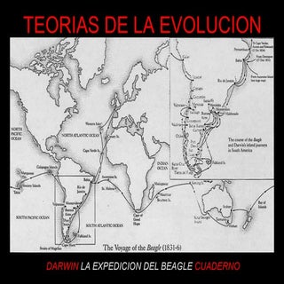Teorias de la evolucion