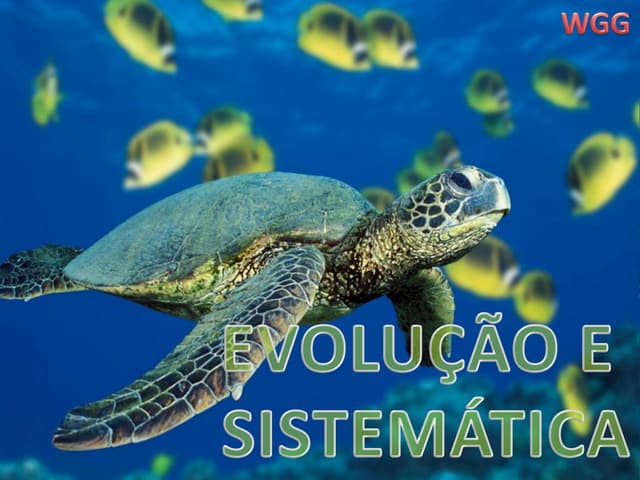 Evolução e sistemática 