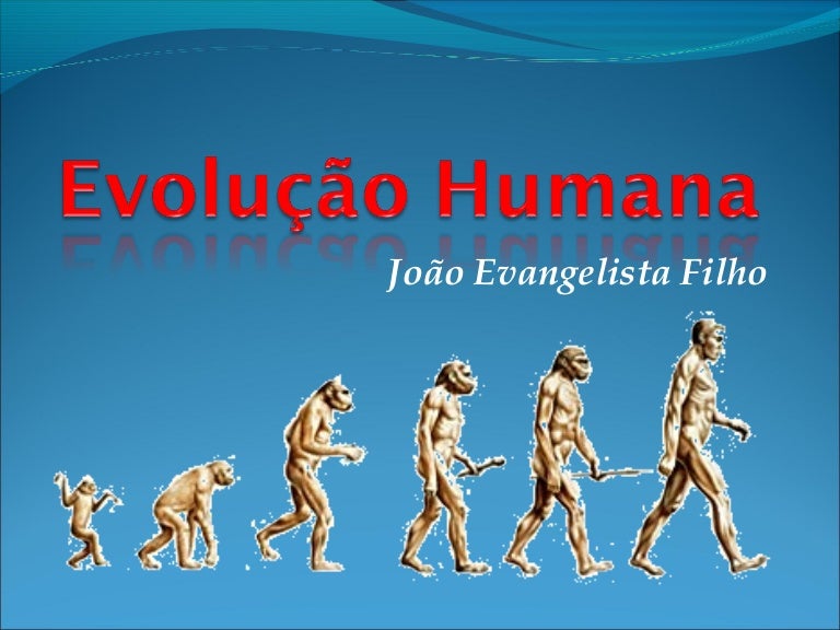 Ao Estudar A Evolucao Da Especie Humana Moderna