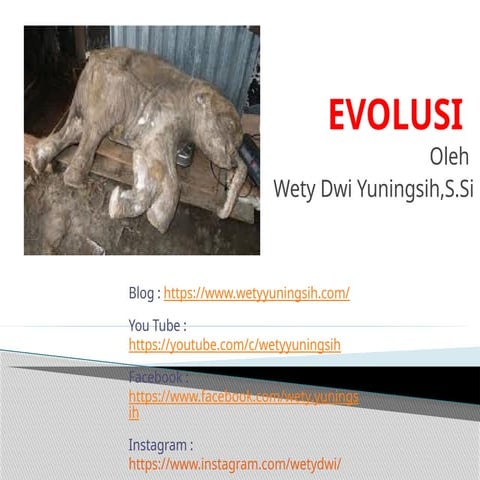 Bahan Belajar EVOLUSI kelas 12 SMA .pptx