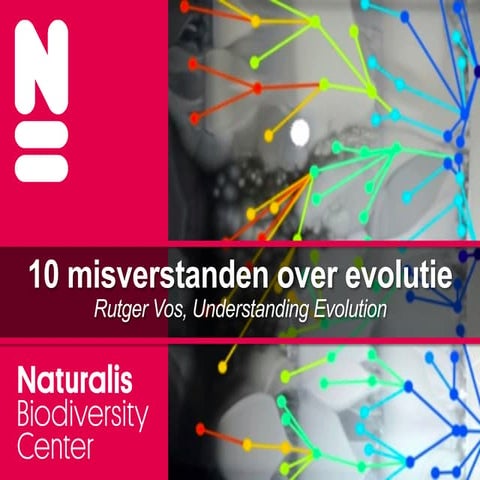 10 Misverstanden Over Evolutie