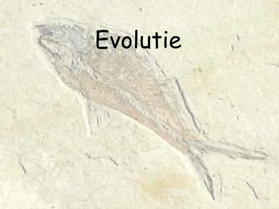 Evolutie | PPTX