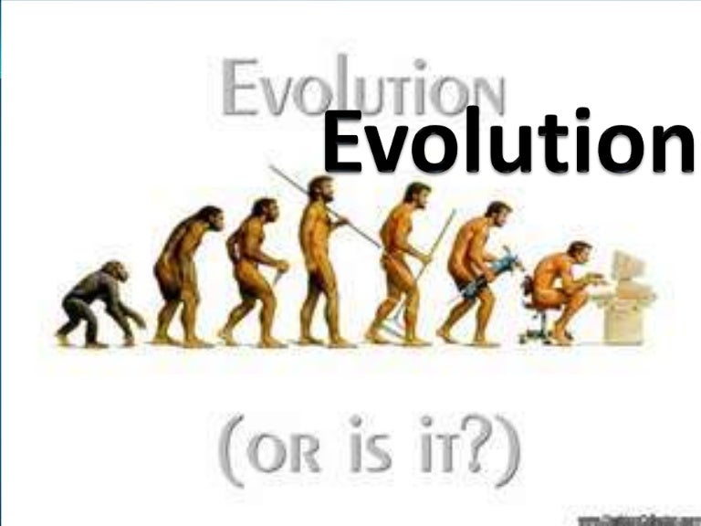 Evolution