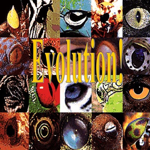 Evolution.ppt nelson