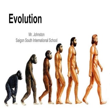 Convergent Evolution Presentation | PPTX