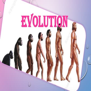 EMBRYOLOGY-bio-1.Evidence of evolution.pptx
