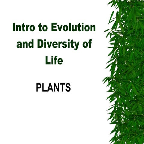 Evolution And Diversity  Plants