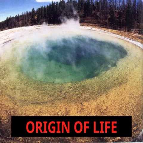 Evolution-Origins of Life .pptpptttttttt