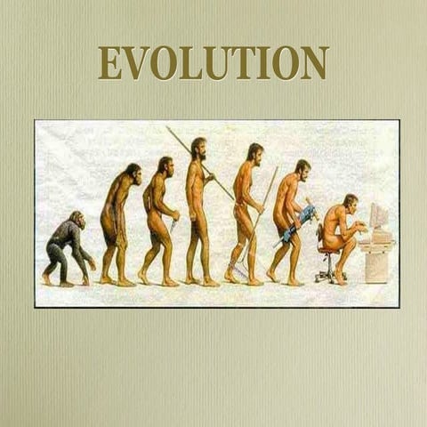 evolution-basics-humans and animals in general