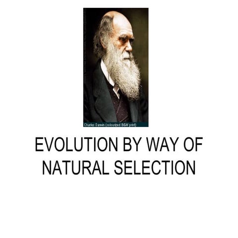 Evolution -the peppered moth presentation teacher version