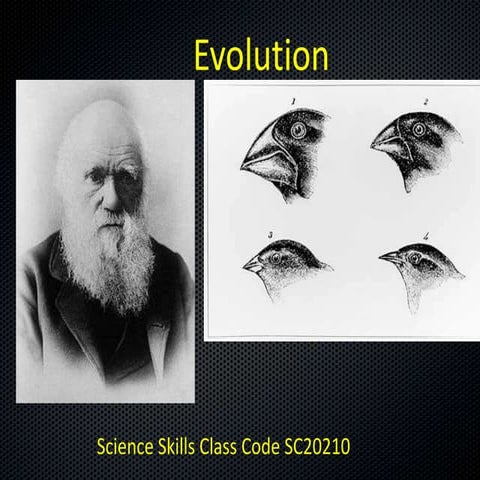 Mutational theory presentation | PPTX