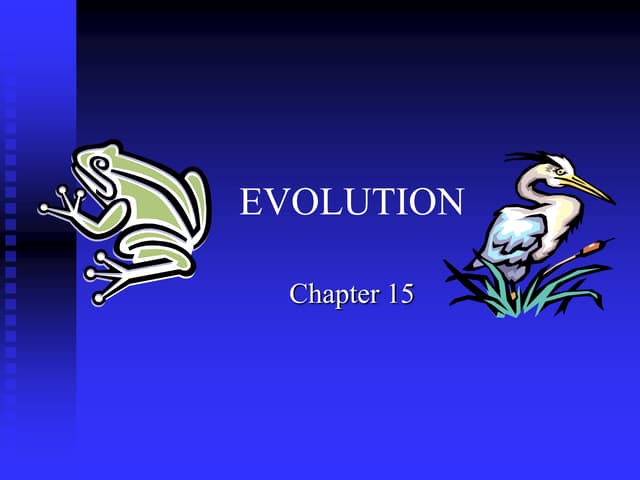 evolution (1).ppt
