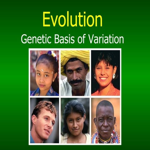 Evolution2
