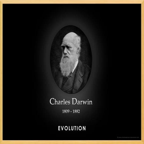 Understanding Evolution