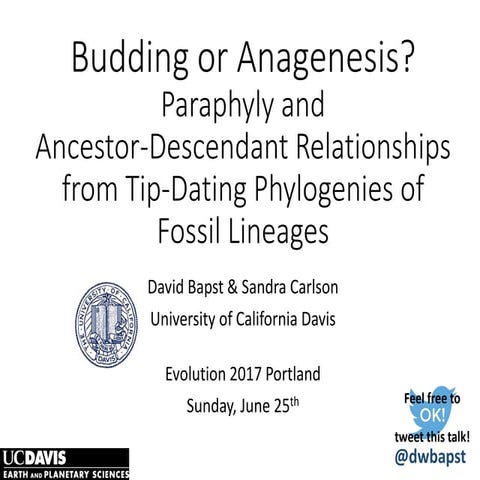 Budding or Anagenesis? Paraphylyand Ancestor-Descendant Relationships ...