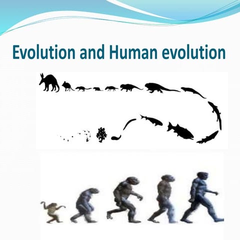 Evolution and human evolution
