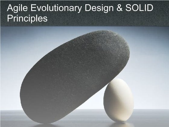 Evolutionary Design Solid