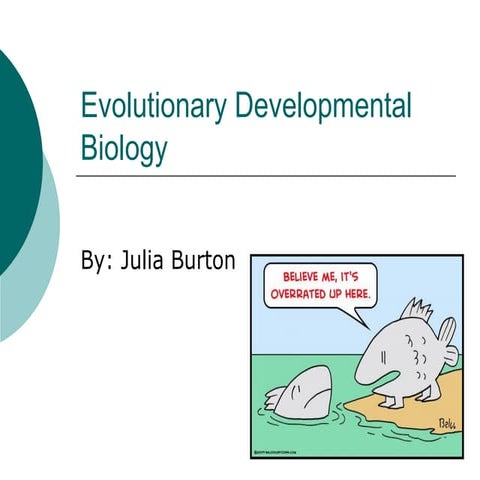 Evolutionary developmental biology