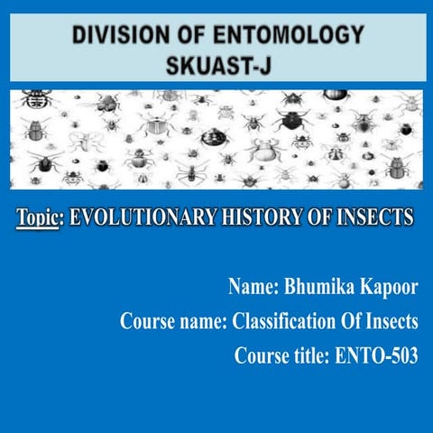 Evolutionary history of  insects