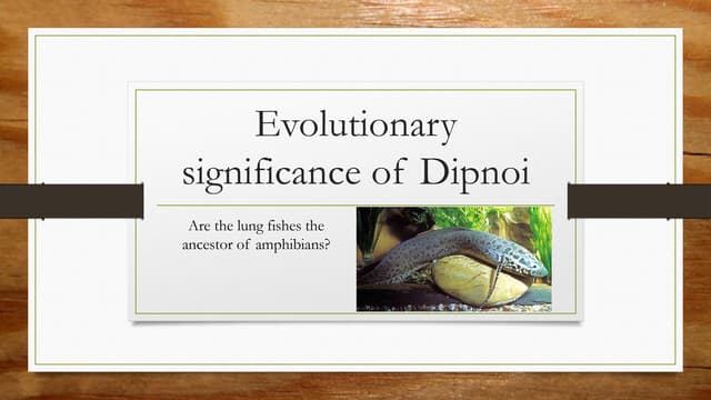 Evolutionary significance of dipnoi