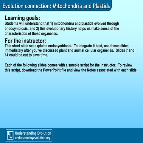 Mitochondrial and chloroplast DNA | DOCX