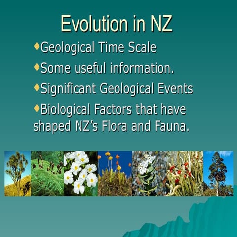 Evolution In Nz