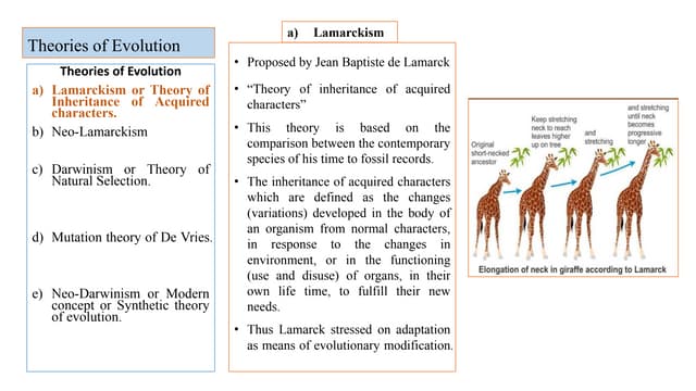 Theories of evolution | PPTX