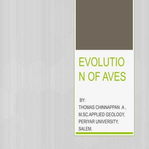 Evolution of aves in paleontology