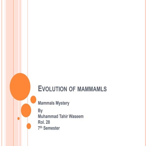 Evolution of mammamls