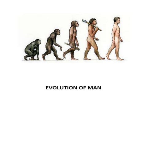 Evolution of man | DOCX