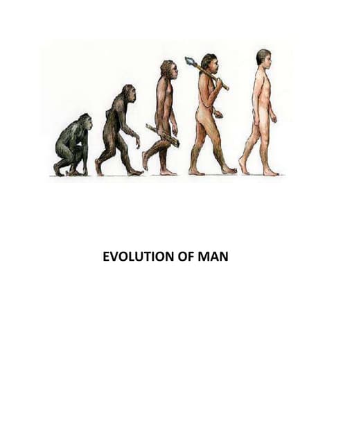 Sponsorship Evolution Of Man | PDF