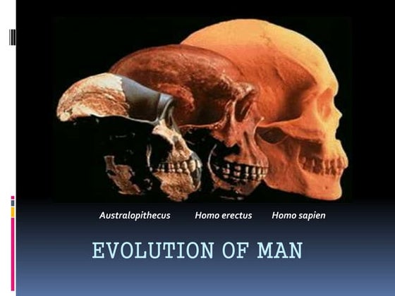 Evolution of man | PPT