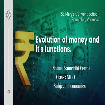 Evolution of money and functions.pdf