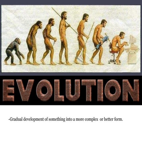 Evolution of retailing