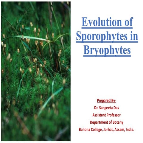 Evolution of sporophyte in bryotphytes