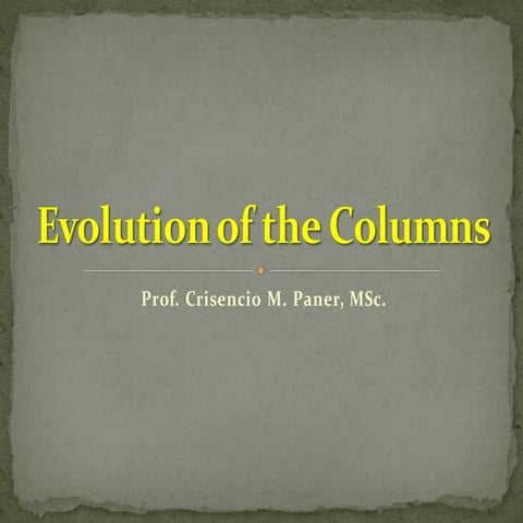 Evolution of the columns