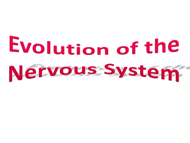Evolution of the nervous system
