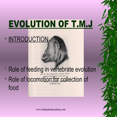 Evolution of tmj and its development