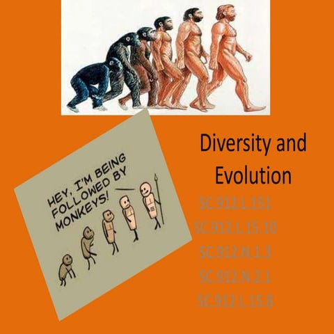 Evolution part1