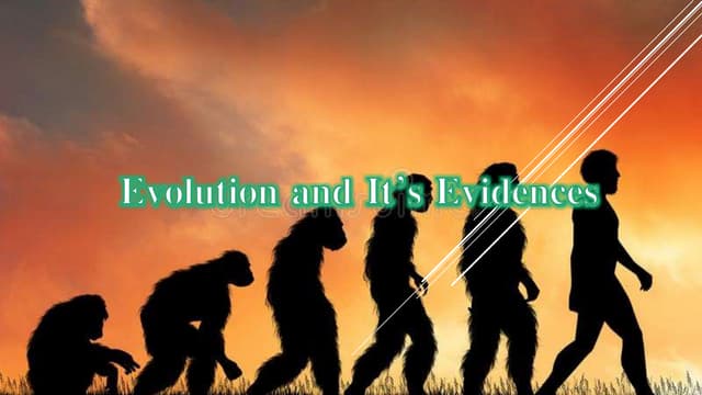 Evolution (part 2)