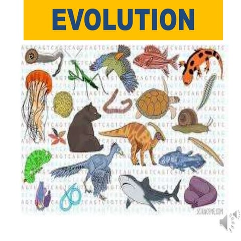 EVOLUTION THE HISTORY