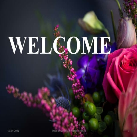 Evoluton of plant sexual diversity