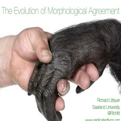 The Evolution of Morphological Agreement