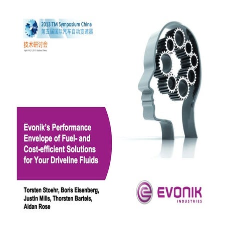 Evonik driveline cost efficient 2013