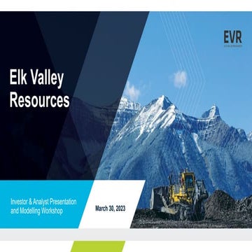 EVR Presentation and Modelling Workshop | PDF