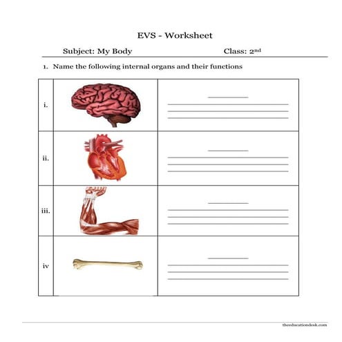 Environmental Science (EVS) : Body Parts Worksheet (Class II)
