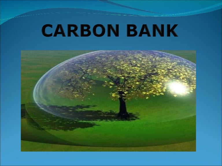 carbon bank