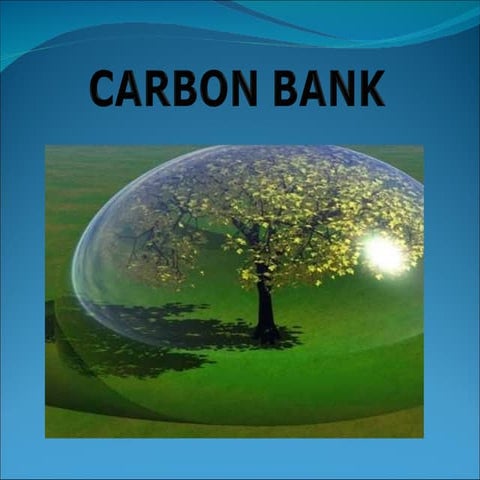 carbon bank